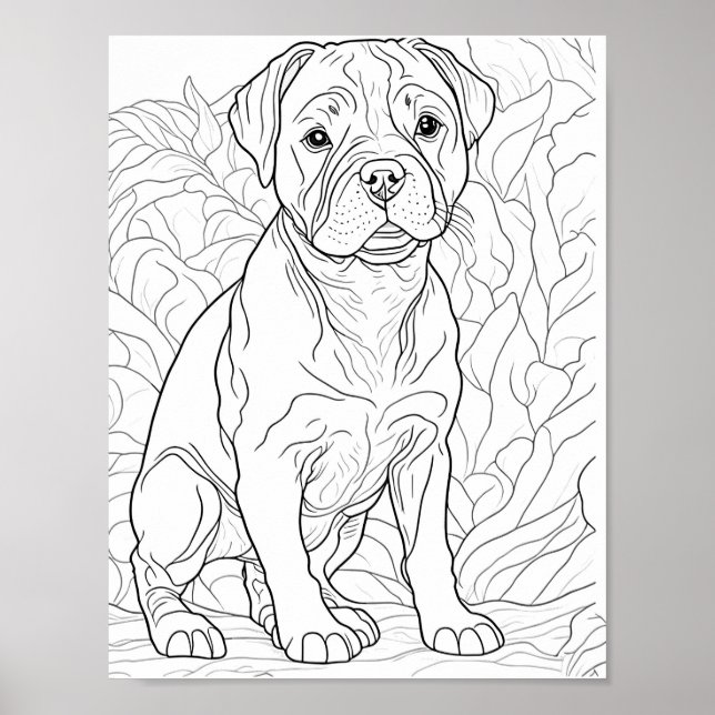Póster Coloro de adultos de American Staffordshire Dog (Frente)