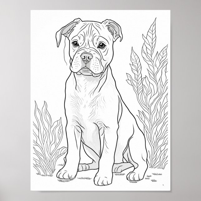 Póster Coloro de adultos de American Staffordshire Dog (Frente)