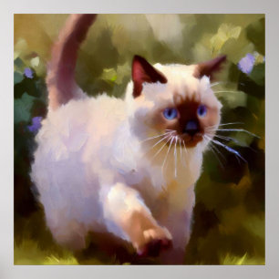 Póster Colorpoint Shorthair Cat
