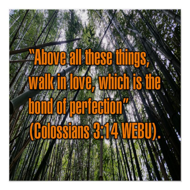 Póster Colosenses 3:14 WEBU (Anverso)