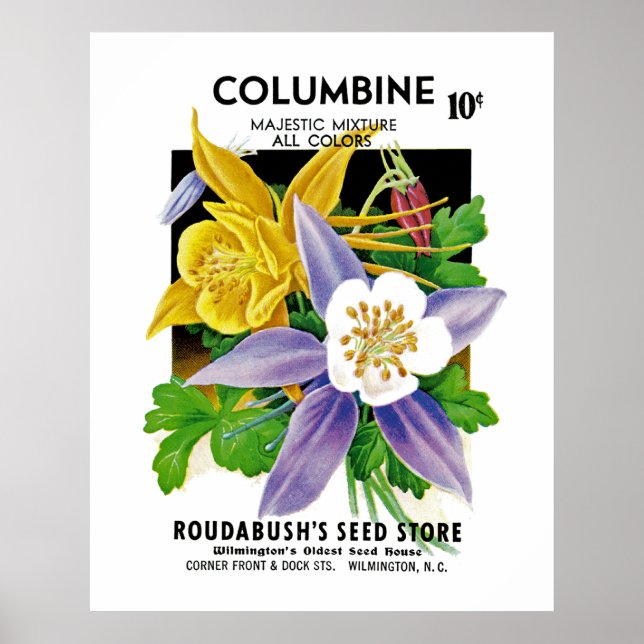 Póster Columbina (Frente)