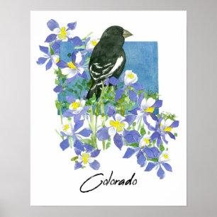 Póster Columbine de Montaña de Colorado Flores Lark Bunti