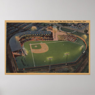Póster Columbus, OH - antena del béisbol rojo del pájaro