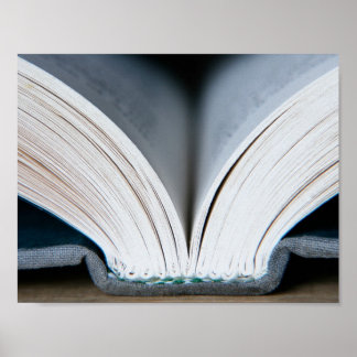 Póster Columna del libro (poster)