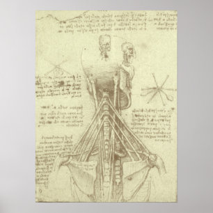Póster Columna espinal de anatomía humana de Leonardo da