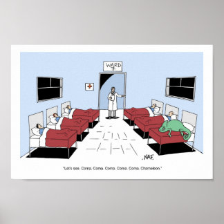 PÓSTER COMA COMA CHAMELEON