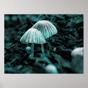 Póster Cómame… Bébame…