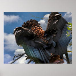PÓSTER COMANDANTE DE BATELEUR EAGLE SKY