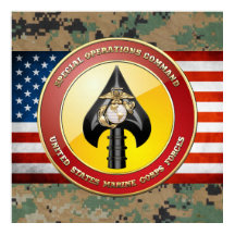 Comando de Operaciones Especiales del USMC (MARSOC