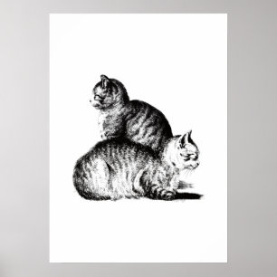 Póster combinación de los dos gatos de Jean Bernard