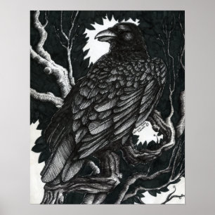 Póster Comer Berries