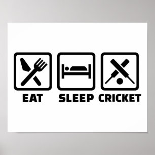 Póster Comer críquet dormido