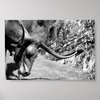 Póster Comer de Longhorn