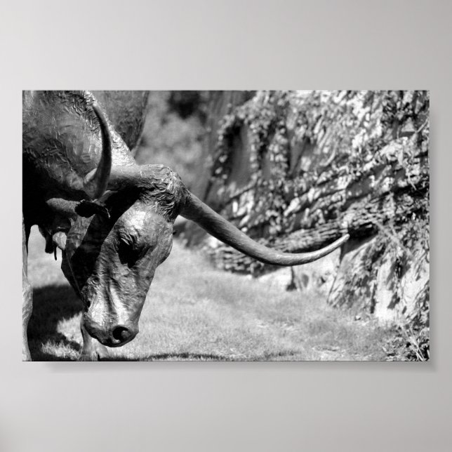 Póster Comer de Longhorn (Frente)