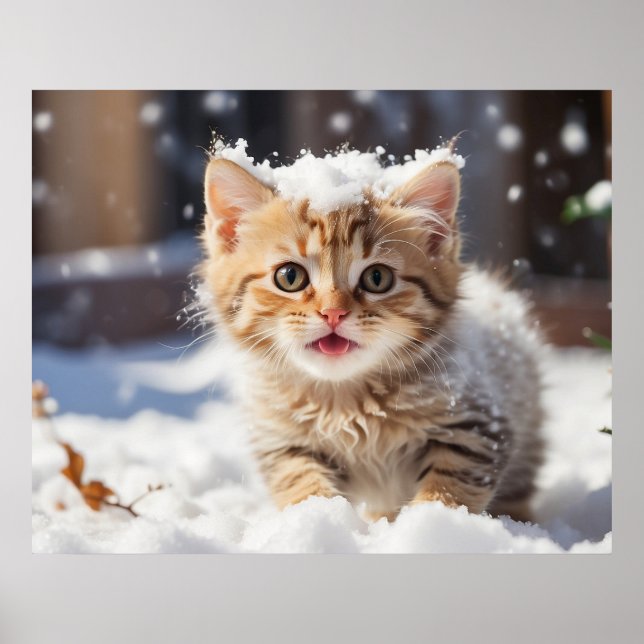 Póster *~* Comer Nieve Kitty 5:4 Gato de gatito AP68 (Frente)