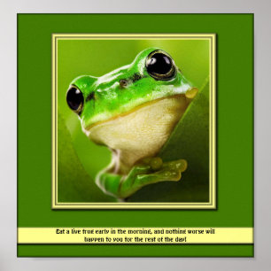 Póster Comer Un Poster De Rana Viva