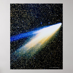 Póster Comet West