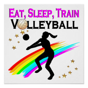 PÓSTER COMIDA ROSA, DORMIR, VOLEIBOL DE TREN
