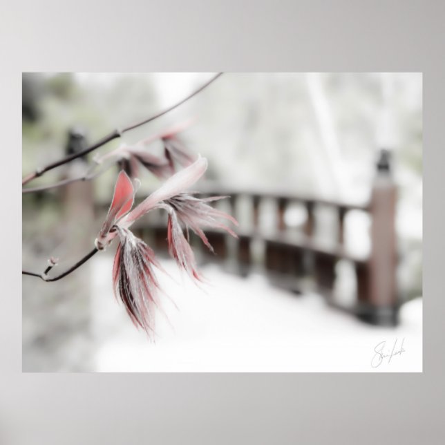 Póster Comienzos (Frente)