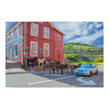 Comité de Bienvenida de Donkey, Cripple Creek Colo