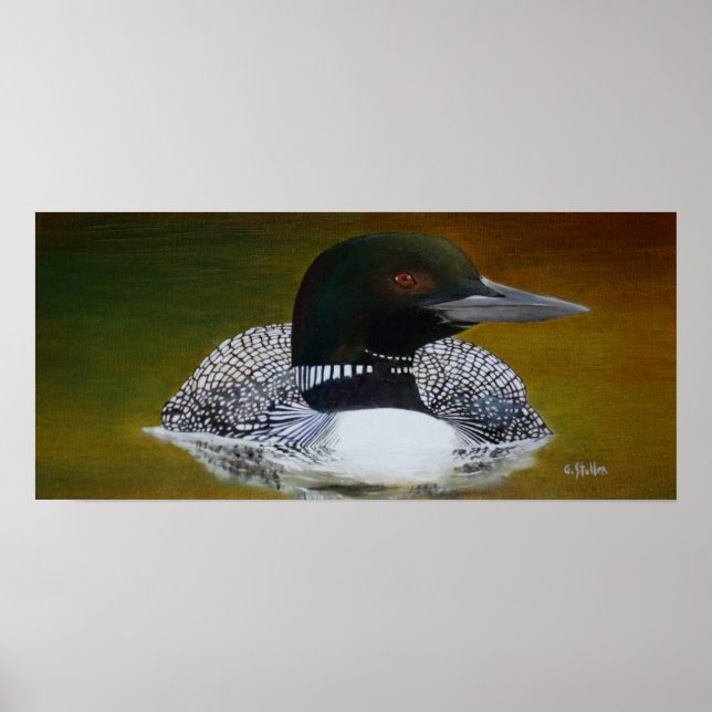 Póster Common Loon Poster (Frente)