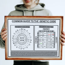 Common quide to the genetic code