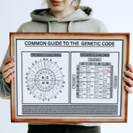 Póster Common quide to the genetic code