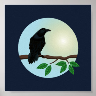 Póster Common Raven illustration