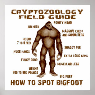 Póster CÓMO APUNTAR BIGFOOT - Guía de campo de criptozool