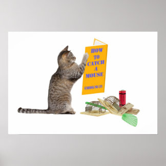 Póster Cómo atrapar un ratón