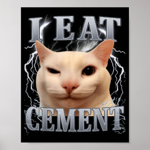 Póster Como Cemento Gato Tonto Meme Hombres Mujeres Niños