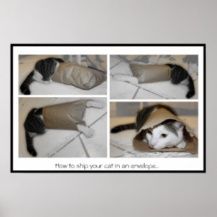 Póster Cómo enviar a tu gato en un sobre...impresión dive