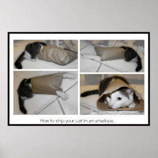 Póster Cómo enviar a tu gato en un sobre...impresión dive