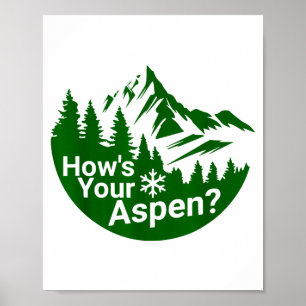 Póster ¿Cómo es divertido aspen aspen colorado esquí chis