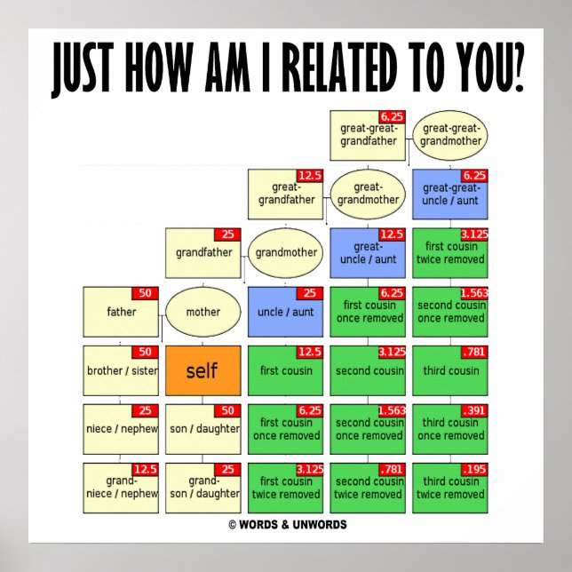 Póster ¿Cómo Estoy Relacionado Contigo? (Genealogía) (Frente)