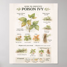 Cómo identificar la hiedra venenosa – Botánica edu