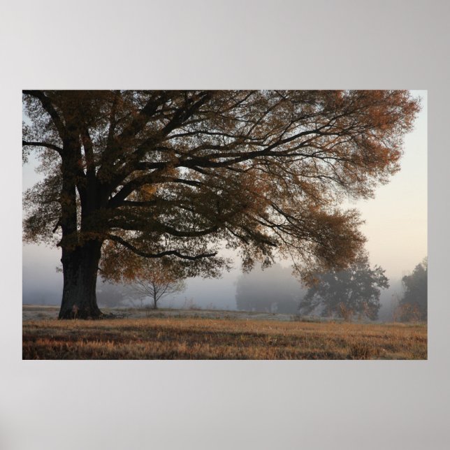 Póster Cómo llegar (Frente)