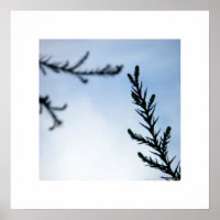 Cómo Llegar A Tu/Impresión Inspiradora De Naturale