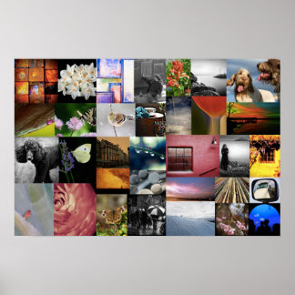 Póster Cómo lo vemos amamos a Lee Daniels