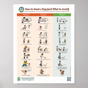 Póster Cómo saludar a un perro (y qué evitar)
