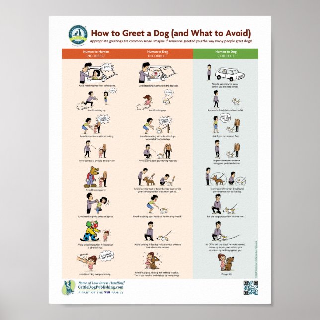 Póster Cómo saludar a un perro (y qué evitar) (Frente)