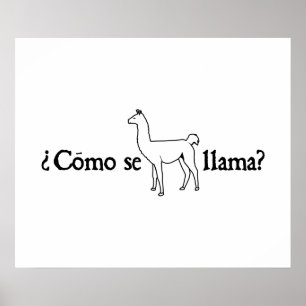 Póster ¿Como se llama?