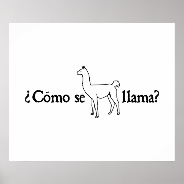 Póster ¿Como se llama? (Frente)