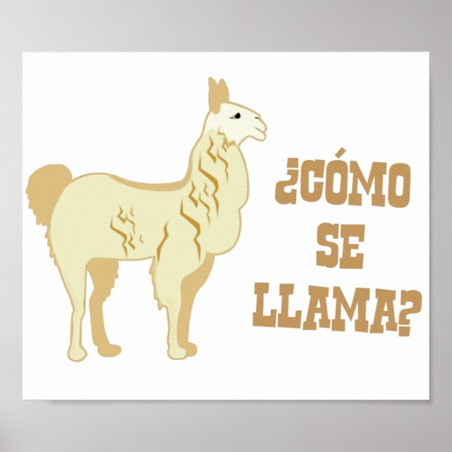 Póster ¿Como se llama? ¿Cómo se llama? (Frente)