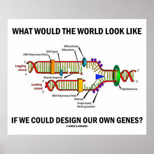 Póster ¿Cómo Sería El Mundo Diseñar Nuestros Genes?