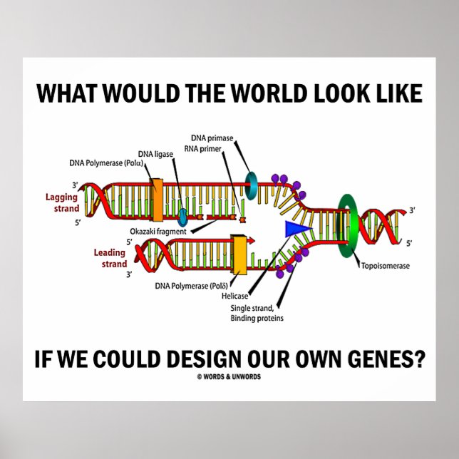 Póster ¿Cómo Sería El Mundo Diseñar Nuestros Genes? (Frente)