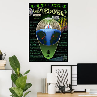 Póster Cómo sobrevivir al DESCubrimiento