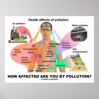Póster ¿Cómo Te Afecta La Contaminación? (Fisiología)