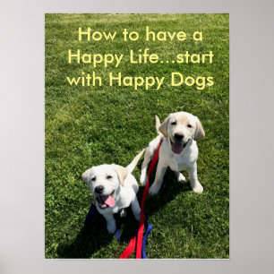 Póster Cómo tener una vida feliz...empezar con perros fel