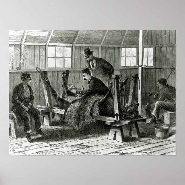 Póster Cómo tomar el virus de la pantorrilla (Frente)